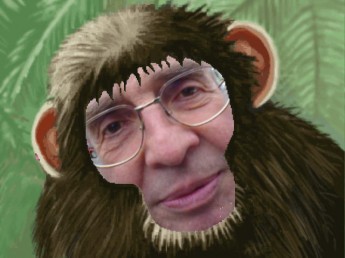 DSC00083_Affe.JPG